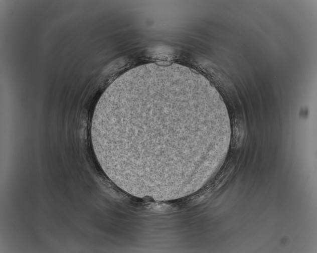 X0000097630379200803281106
