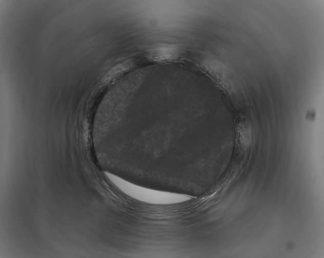 X0000097630380200803281106