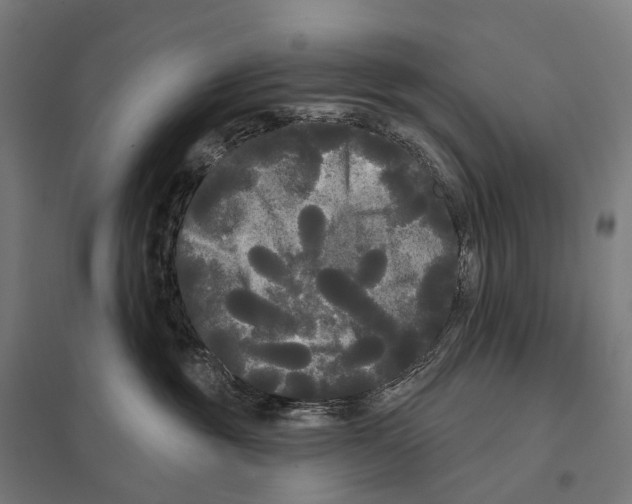 X0000097630381200803281106