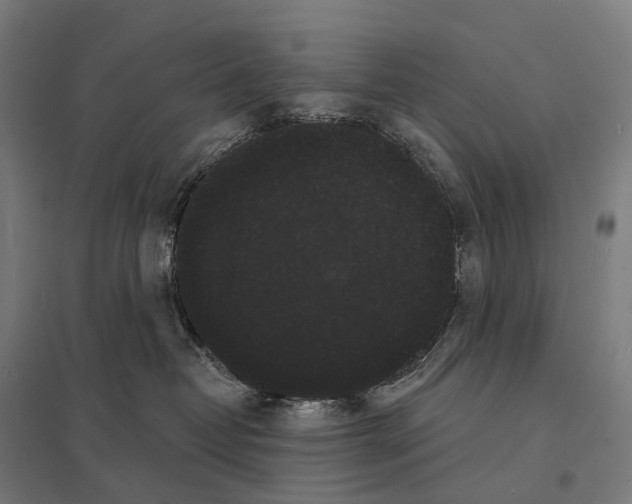 X0000097630382200803281106
