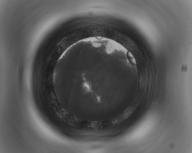 X0000097630383200803281106