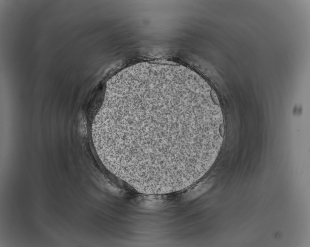 X0000097630384200803281106