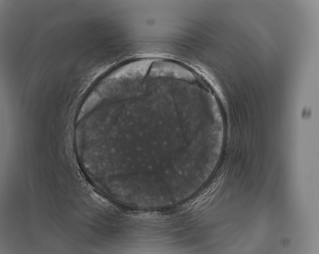 X0000097630385200803281105