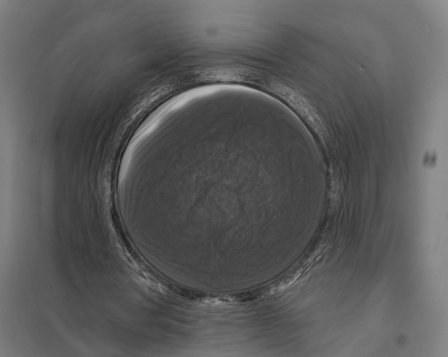 X0000097630386200803281105