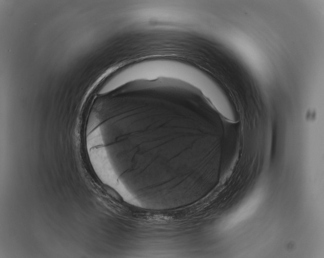 X0000097630387200803281105