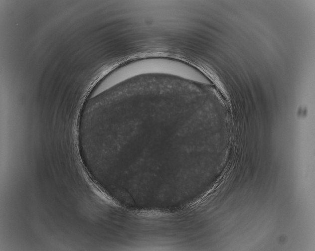 X0000097630389200803281105