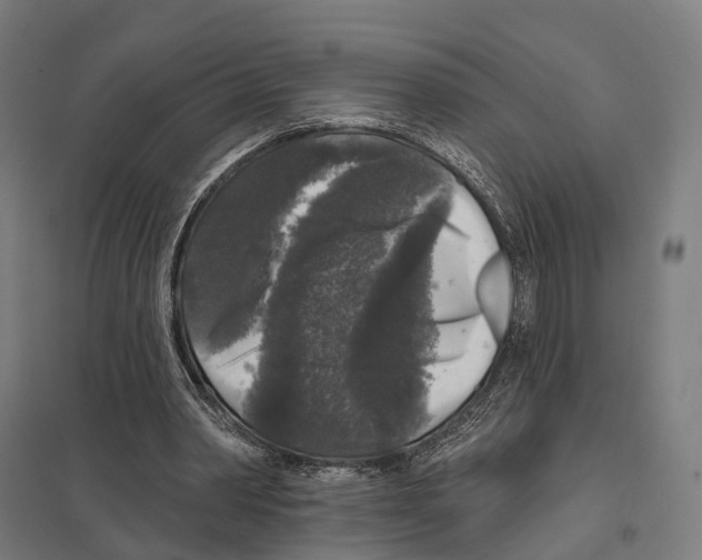 X0000097630390200803281105