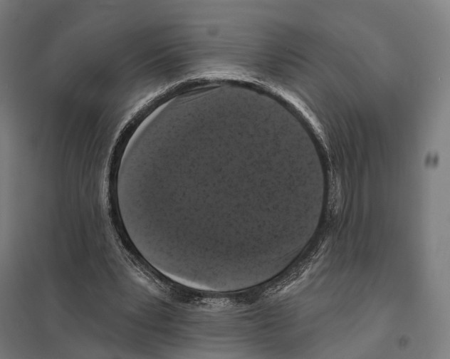 X0000097630391200803281105