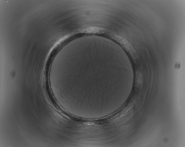 X0000097630392200803281105