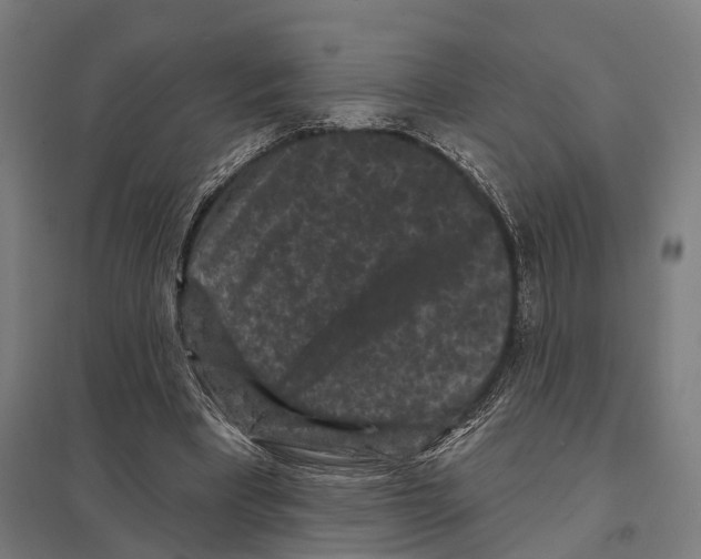 X0000097630393200803281105