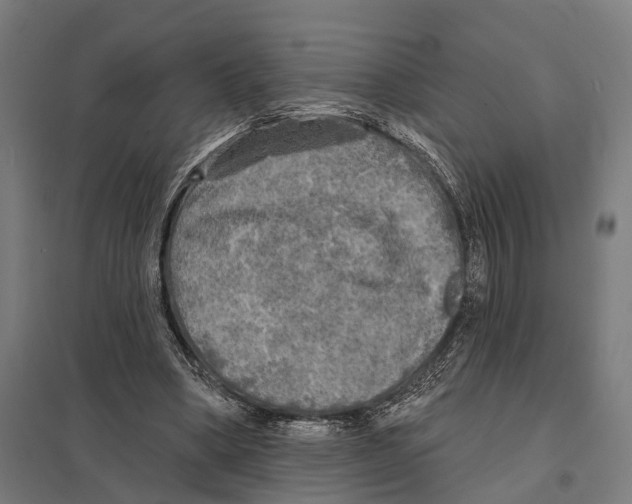 X0000097630394200803281105