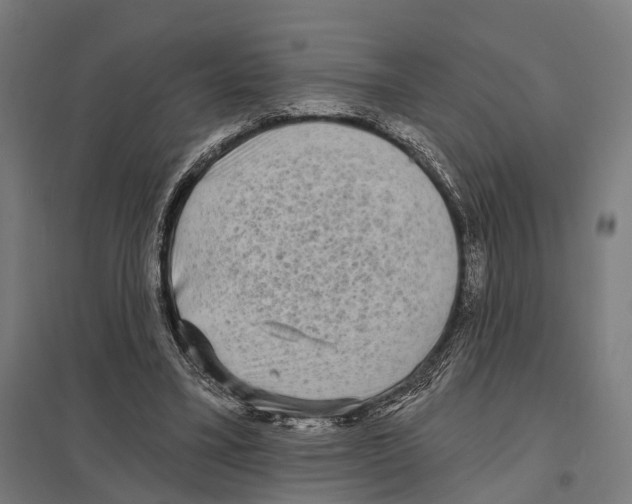 X0000097630395200803281105
