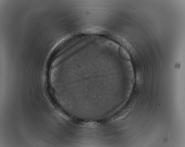 X0000097630396200803281105