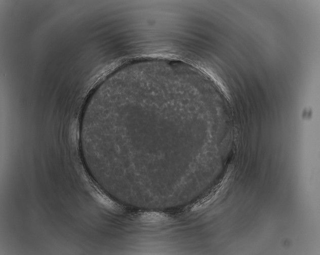 X0000097630397200803281105