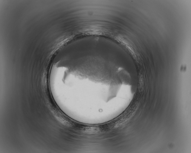 X0000097630398200803281105