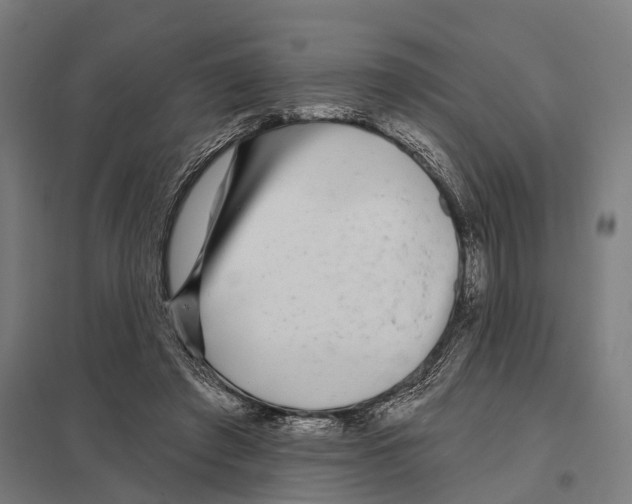 X0000097630401200803281105