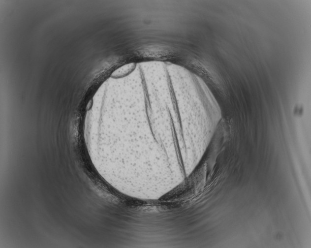 X0000097630404200803281105