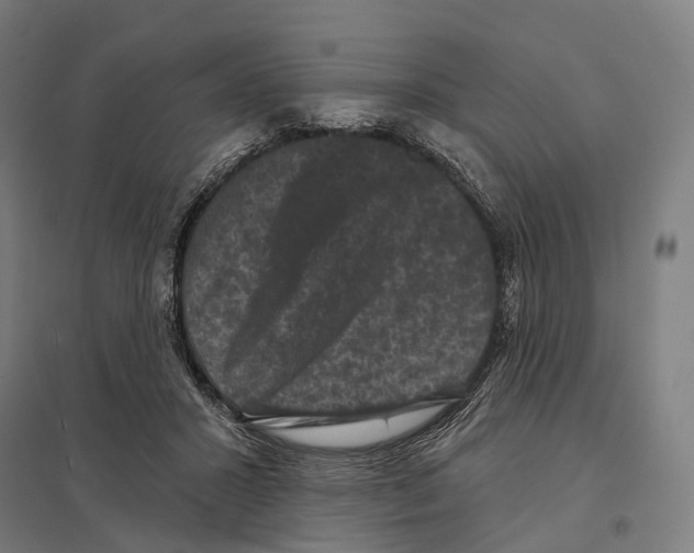X0000097630407200803281105