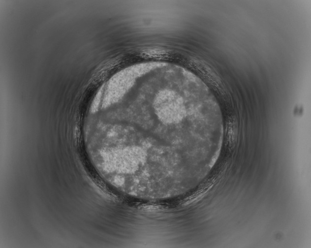 X0000097630408200803281105