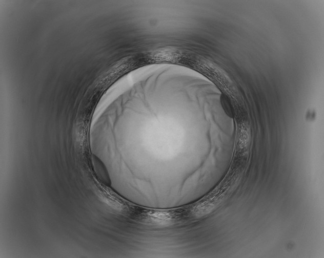 X0000097630409200803281105