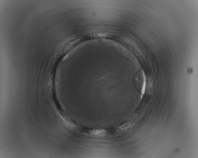 X0000097630410200803281105