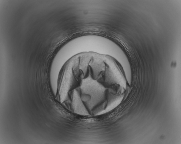 X0000097630411200803281105