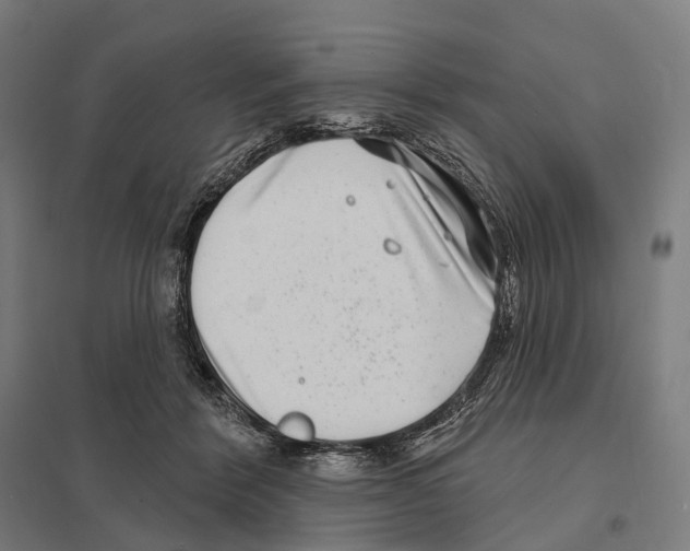 X0000097630412200803281105