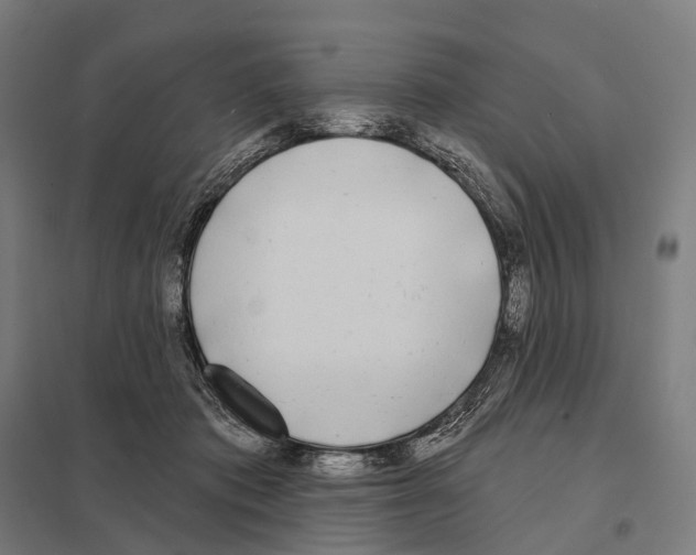 X0000097630413200803281105