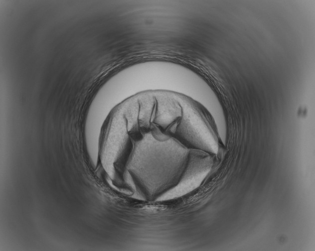 X0000097630415200803281105