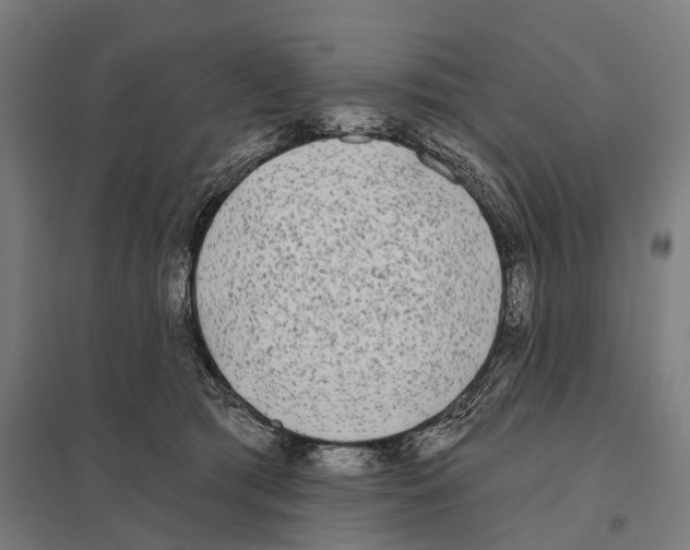 X0000097630417200803281105