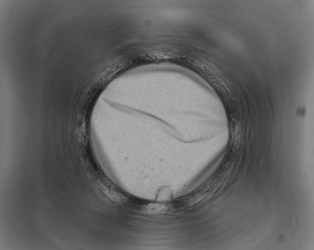 X0000097630418200803281105