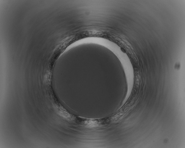 X0000097630419200803281105