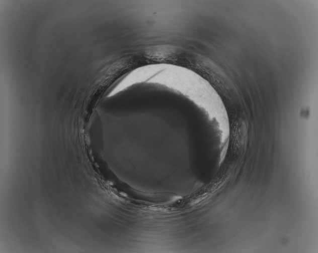 X0000097630420200803281105