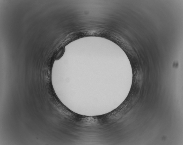 X0000097630421200803281105