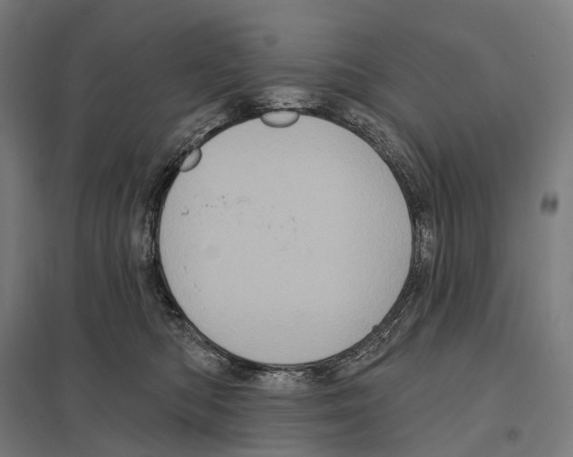 X0000097630422200803281105