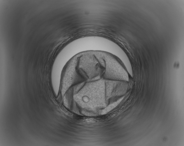 X0000097630423200803281105