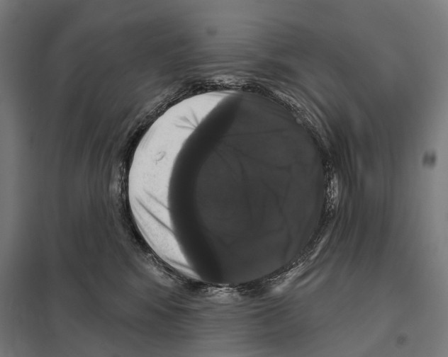 X0000097630424200803281105