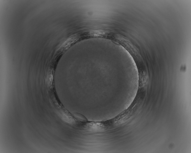 X0000097630427200803281105