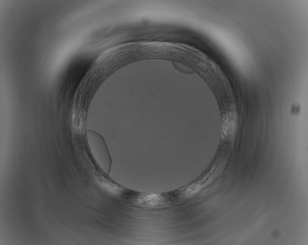 X0000097630431200803281105