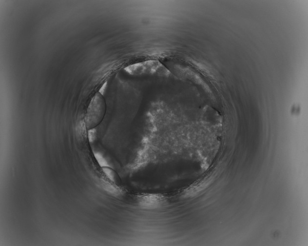 X0000097630432200803281105