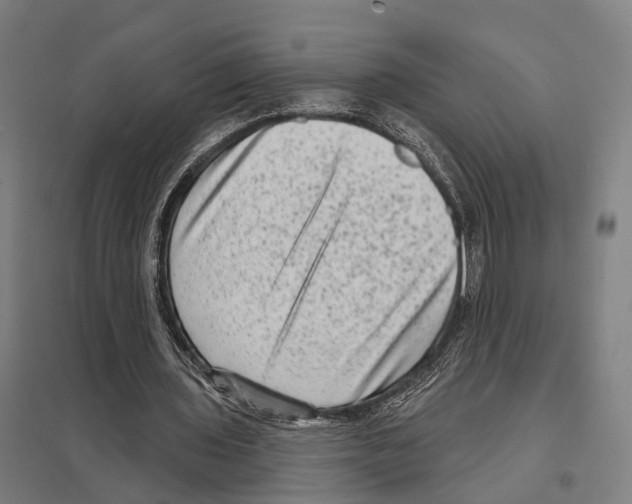X0000097630435200803281104