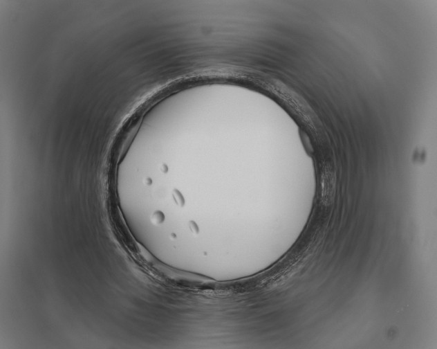 X0000097630436200803281104