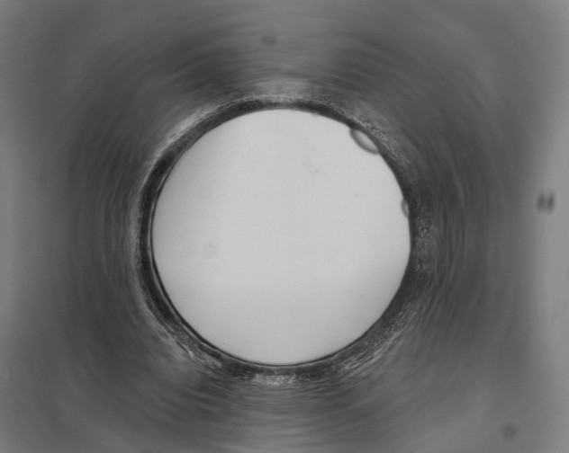 X0000097630440200803281104