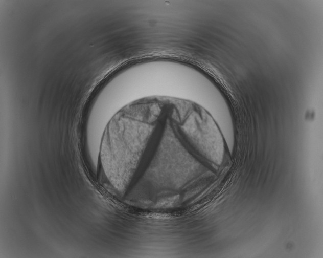 X0000097630444200803281104