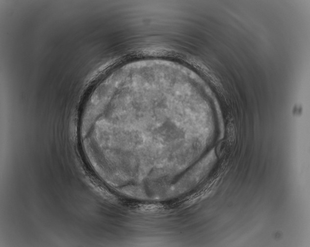 X0000097630446200803281104