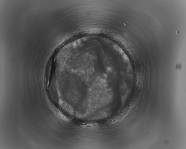 X0000097630447200803281104