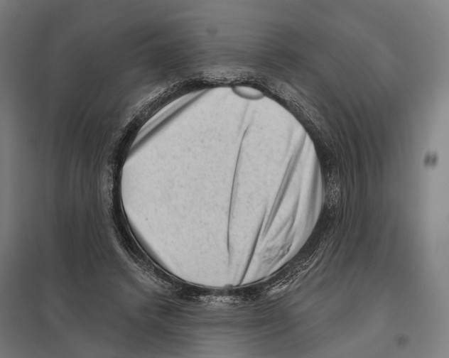 X0000097630448200803281104