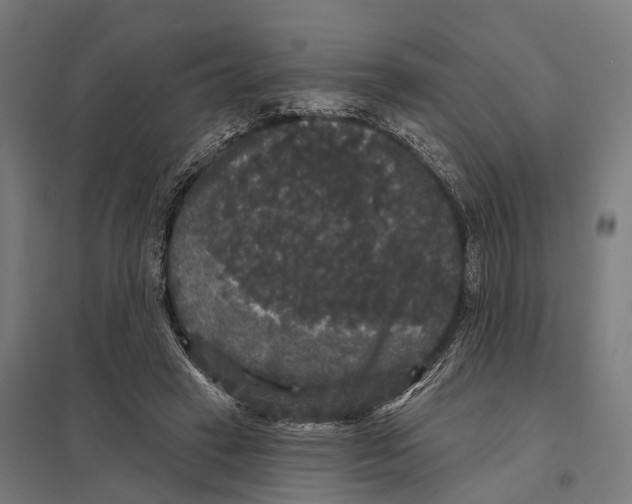 X0000097630449200803281104