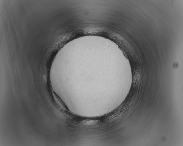 X0000097630452200803281104