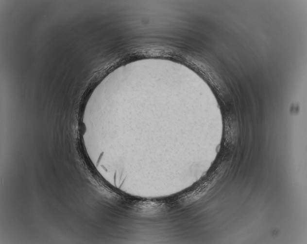 X0000097630453200803281104